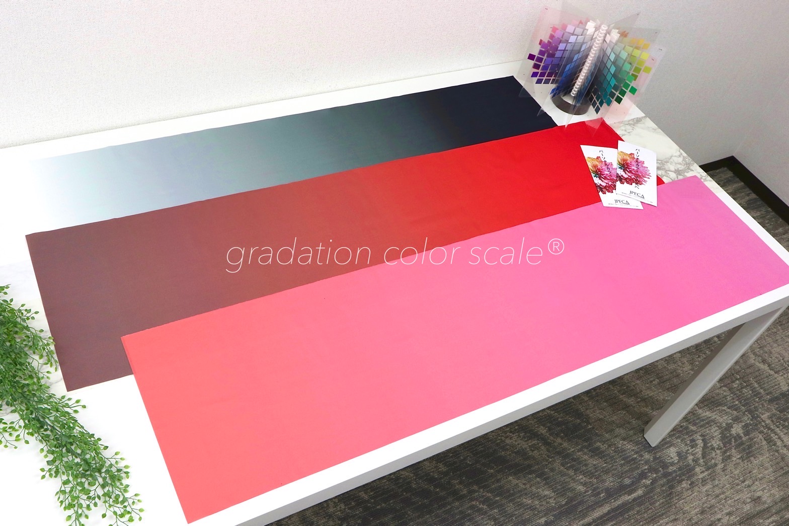 当サロンで扱うグラデーションカラースケール®︎とは